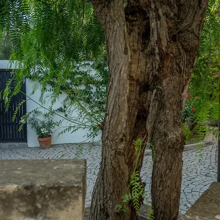 4reasons + Bistro | 12+ 4* Yalıkavak