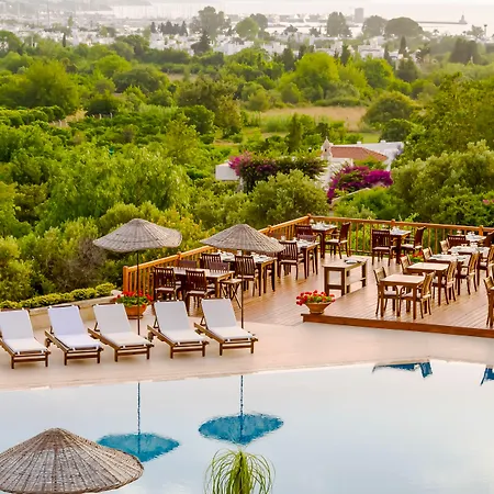 Hotel 4reasons + Bistro | 12+