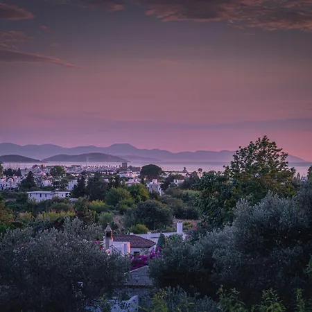 Hotel 4reasons + Bistro | 12+ 4*