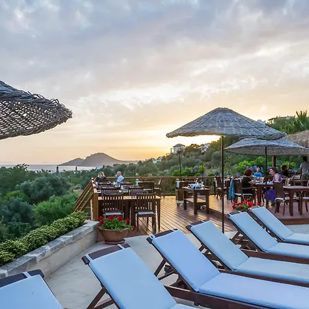 Hotel 4reasons + Bistro | 12+