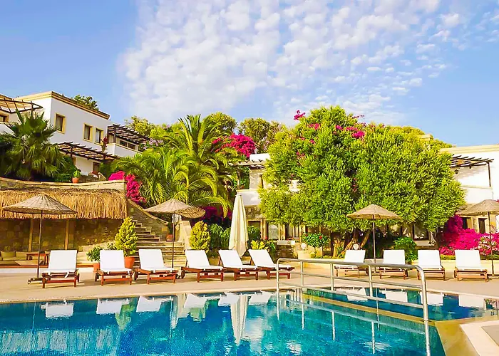 4reasons + Bistro | 12+