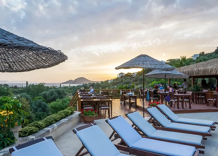 Hotell 4reasons + Bistro | 12+