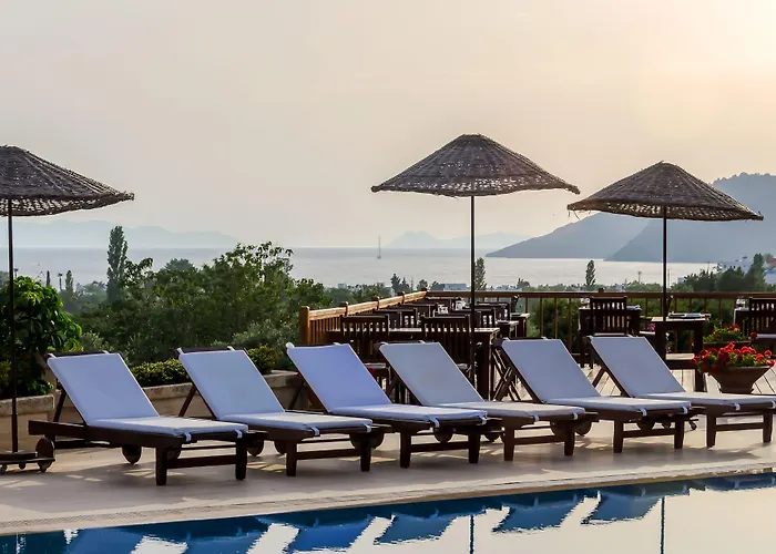 4reasons + Bistro | 12+ Отель 4*