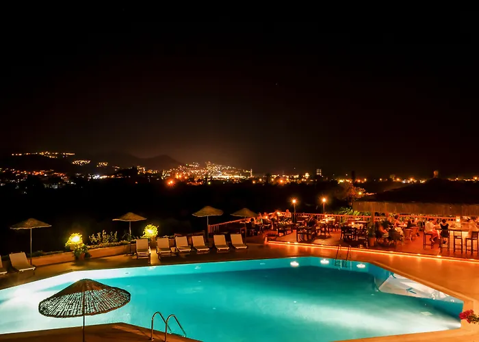 4reasons + Bistro | 12+ Яликовак