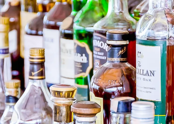 4reasons + Bistro | 12+ 4* Яликовак