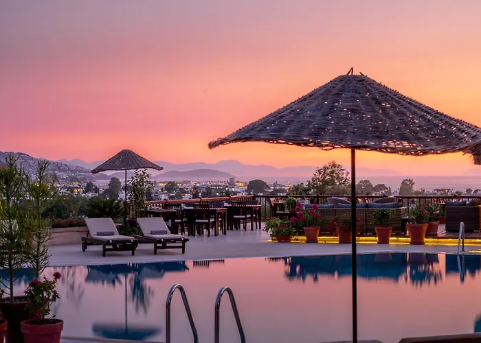 4reasons + Bistro | 12+ Hotell